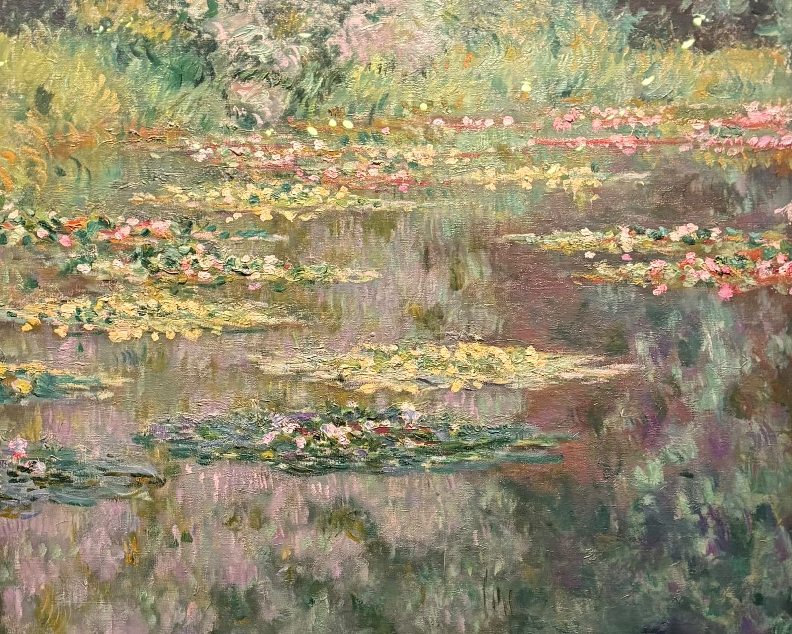Pintura impressionista de nenúfares sobre a água